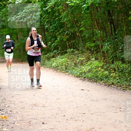 11.10.2026 - Bramfelder Halbmarathon 2026 Dr. Thomas Lammeyer http://msf.ph/oto/10818033 11.10.2026 10:00:07 Laufen 503, 547 meine-sportfotos.de