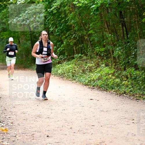 11.10.2026 - Bramfelder Halbmarathon 2026 Dr. Thomas Lammeyer http://msf.ph/oto/10818035 11.10.2026 10:00:08 Laufen 503, 547 meine-sportfotos.de
