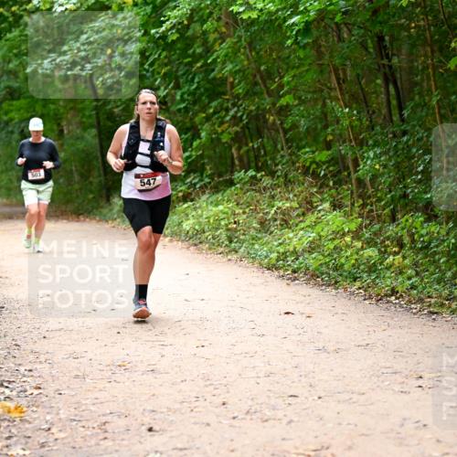 11.10.2026 - Bramfelder Halbmarathon 2026 Dr. Thomas Lammeyer http://msf.ph/oto/10818036 11.10.2026 10:00:08 Laufen 503, 547 meine-sportfotos.de