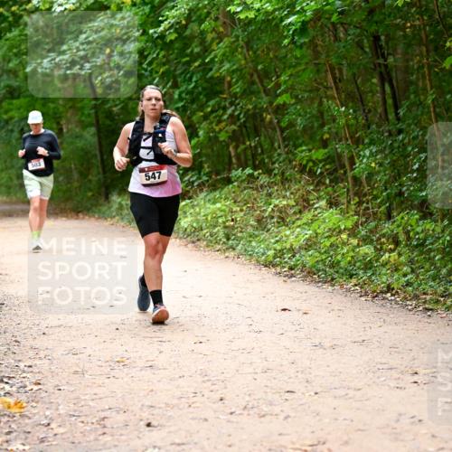 11.10.2026 - Bramfelder Halbmarathon 2026 Dr. Thomas Lammeyer http://msf.ph/oto/10818037 11.10.2026 10:00:08 Laufen 503, 547 meine-sportfotos.de