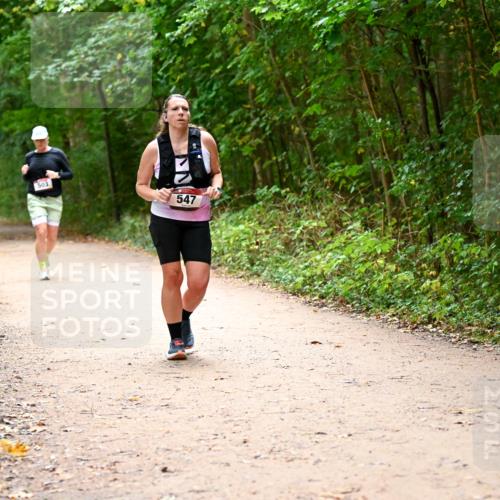 11.10.2026 - Bramfelder Halbmarathon 2026 Dr. Thomas Lammeyer http://msf.ph/oto/10818038 11.10.2026 10:00:08 Laufen 503, 547 meine-sportfotos.de