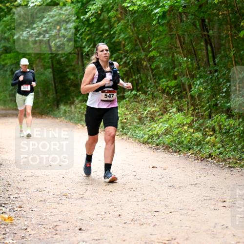 11.10.2026 - Bramfelder Halbmarathon 2026 Dr. Thomas Lammeyer http://msf.ph/oto/10818040 11.10.2026 10:00:08 Laufen 503, 547 meine-sportfotos.de