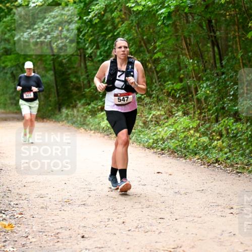 11.10.2026 - Bramfelder Halbmarathon 2026 Dr. Thomas Lammeyer http://msf.ph/oto/10818042 11.10.2026 10:00:09 Laufen 503, 547 meine-sportfotos.de