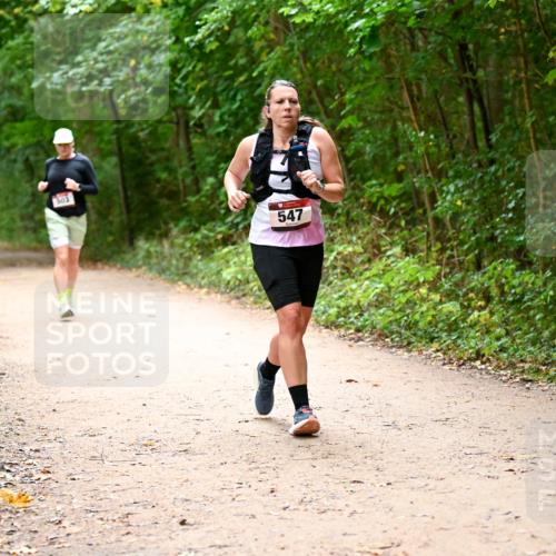 11.10.2026 - Bramfelder Halbmarathon 2026 Dr. Thomas Lammeyer http://msf.ph/oto/10818043 11.10.2026 10:00:09 Laufen 303, 547 meine-sportfotos.de