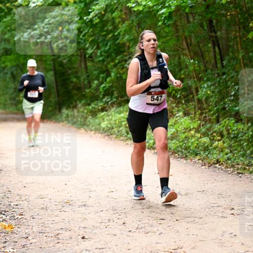 11.10.2026 - Bramfelder Halbmarathon 2026 Dr. Thomas Lammeyer http://msf.ph/oto/10818045 11.10.2026 10:00:09 Laufen 503, 547 meine-sportfotos.de