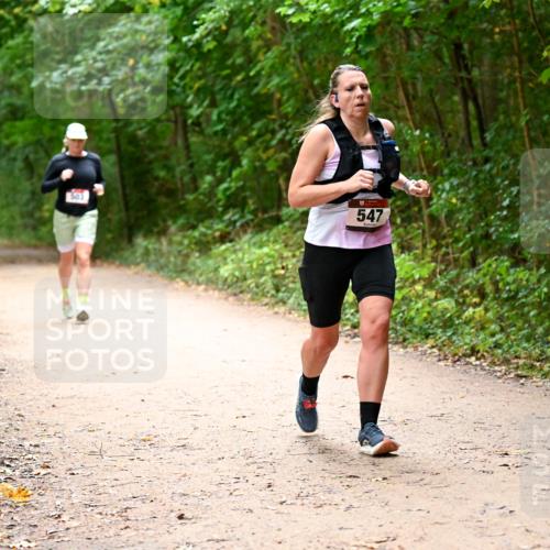 11.10.2026 - Bramfelder Halbmarathon 2026 Dr. Thomas Lammeyer http://msf.ph/oto/10818046 11.10.2026 10:00:09 Laufen 503, 547 meine-sportfotos.de