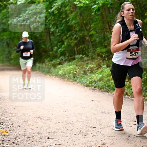 11.10.2026 - Bramfelder Halbmarathon 2026 Dr. Thomas Lammeyer http://msf.ph/oto/10818051 11.10.2026 10:00:10 Laufen 547 meine-sportfotos.de