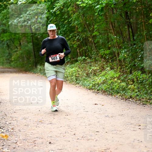 11.10.2026 - Bramfelder Halbmarathon 2026 Dr. Thomas Lammeyer http://msf.ph/oto/10818056 11.10.2026 10:00:12 Laufen 503 meine-sportfotos.de