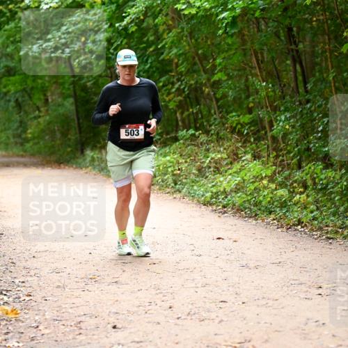 11.10.2026 - Bramfelder Halbmarathon 2026 Dr. Thomas Lammeyer http://msf.ph/oto/10818057 11.10.2026 10:00:12 Laufen 503 meine-sportfotos.de