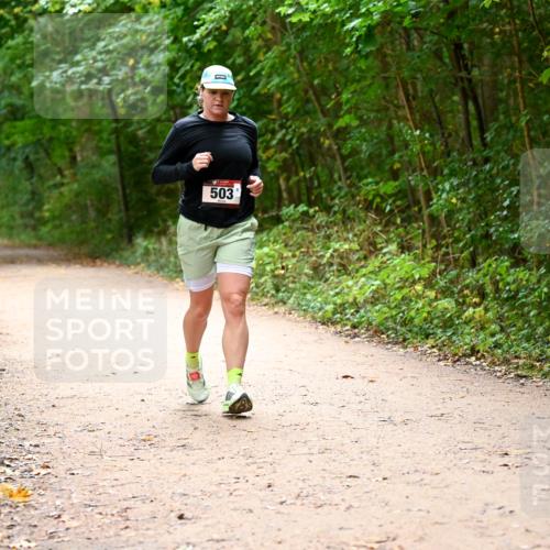 11.10.2026 - Bramfelder Halbmarathon 2026 Dr. Thomas Lammeyer http://msf.ph/oto/10818058 11.10.2026 10:00:12 Laufen 503 meine-sportfotos.de