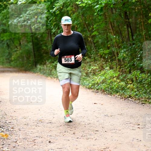 11.10.2026 - Bramfelder Halbmarathon 2026 Dr. Thomas Lammeyer http://msf.ph/oto/10818062 11.10.2026 10:00:13 Laufen 503 meine-sportfotos.de