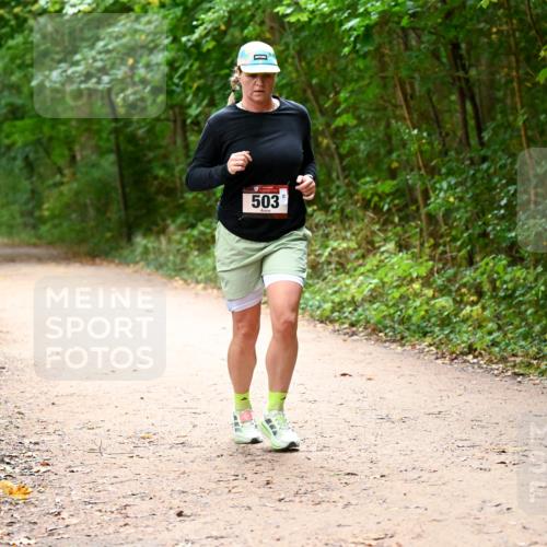 11.10.2026 - Bramfelder Halbmarathon 2026 Dr. Thomas Lammeyer http://msf.ph/oto/10818063 11.10.2026 10:00:13 Laufen 503 meine-sportfotos.de