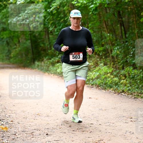 11.10.2026 - Bramfelder Halbmarathon 2026 Dr. Thomas Lammeyer http://msf.ph/oto/10818065 11.10.2026 10:00:13 Laufen 503 meine-sportfotos.de