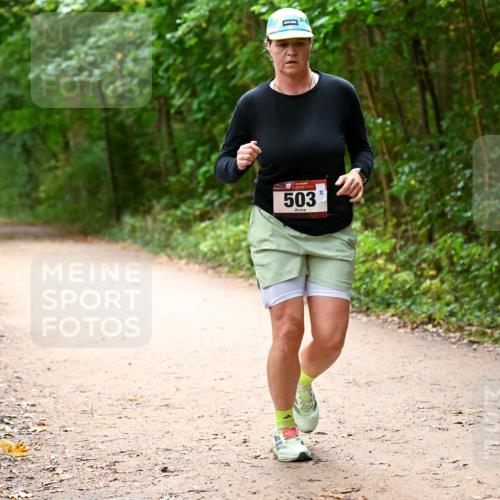 11.10.2026 - Bramfelder Halbmarathon 2026 Dr. Thomas Lammeyer http://msf.ph/oto/10818068 11.10.2026 10:00:14 Laufen 503, 38 meine-sportfotos.de