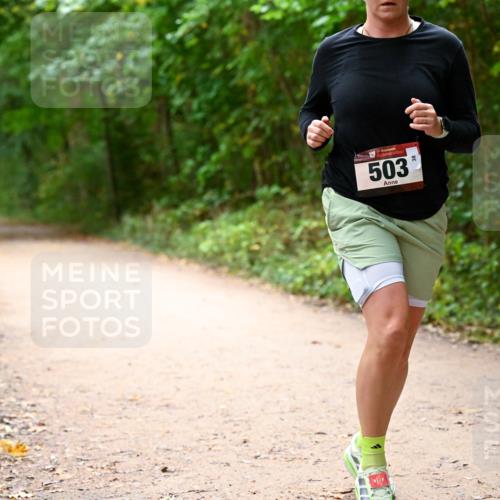 11.10.2026 - Bramfelder Halbmarathon 2026 Dr. Thomas Lammeyer http://msf.ph/oto/10818072 11.10.2026 10:00:14 Laufen 503, 38 meine-sportfotos.de