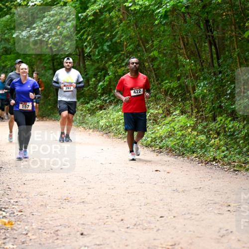 11.10.2026 - Bramfelder Halbmarathon 2026 Dr. Thomas Lammeyer http://msf.ph/oto/10818105 11.10.2026 10:01:02 Laufen 157, 393, 422 meine-sportfotos.de