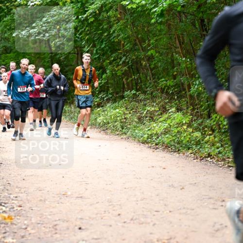 11.10.2026 - Bramfelder Halbmarathon 2026 Dr. Thomas Lammeyer http://msf.ph/oto/10818146 11.10.2026 10:01:08 Laufen 132, 4354, 514, 234 meine-sportfotos.de
