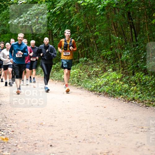 11.10.2026 - Bramfelder Halbmarathon 2026 Dr. Thomas Lammeyer http://msf.ph/oto/10818153 11.10.2026 10:01:09 Laufen 132, 435, 514 meine-sportfotos.de