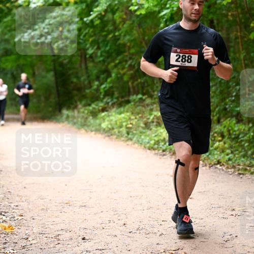 11.10.2026 - Bramfelder Halbmarathon 2026 Dr. Thomas Lammeyer http://msf.ph/oto/10818205 11.10.2026 10:01:17 Laufen 288 meine-sportfotos.de
