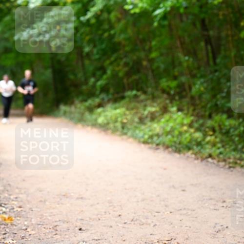 11.10.2026 - Bramfelder Halbmarathon 2026 Dr. Thomas Lammeyer http://msf.ph/oto/10818213 11.10.2026 10:01:18 Laufen  meine-sportfotos.de