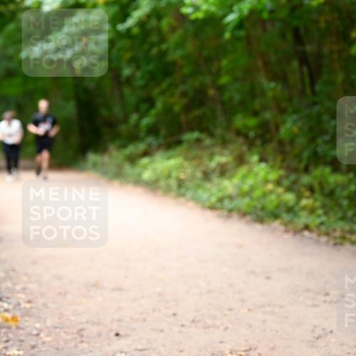 11.10.2026 - Bramfelder Halbmarathon 2026 Dr. Thomas Lammeyer http://msf.ph/oto/10818215 11.10.2026 10:01:18 Laufen  meine-sportfotos.de