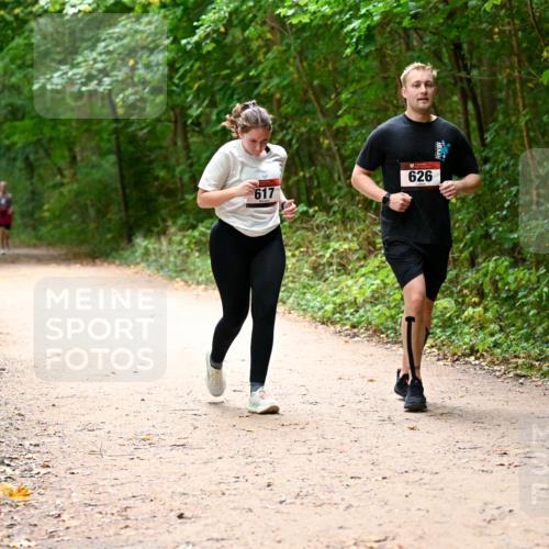 11.10.2026 - Bramfelder Halbmarathon 2026 Dr. Thomas Lammeyer http://msf.ph/oto/10818233 11.10.2026 10:01:26 Laufen 626, 617 meine-sportfotos.de