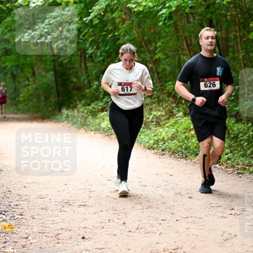 11.10.2026 - Bramfelder Halbmarathon 2026 Dr. Thomas Lammeyer http://msf.ph/oto/10818235 11.10.2026 10:01:27 Laufen 617, 626 meine-sportfotos.de