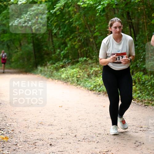 11.10.2026 - Bramfelder Halbmarathon 2026 Dr. Thomas Lammeyer http://msf.ph/oto/10818242 11.10.2026 10:01:28 Laufen 517, 626 meine-sportfotos.de