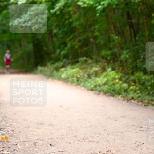 11.10.2026 - Bramfelder Halbmarathon 2026 Dr. Thomas Lammeyer http://msf.ph/oto/10818251 11.10.2026 10:01:29 Laufen  meine-sportfotos.de
