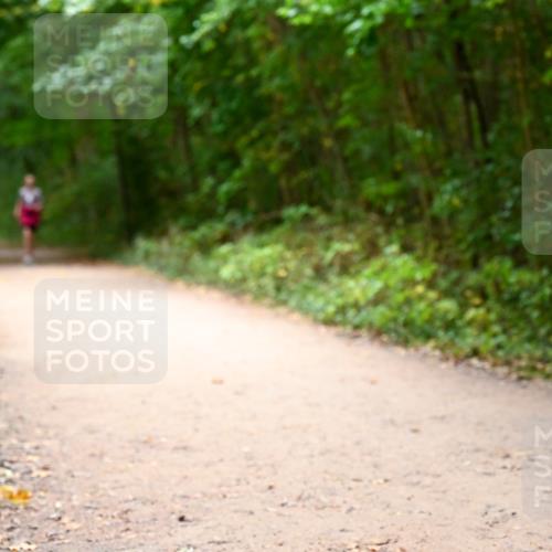 11.10.2026 - Bramfelder Halbmarathon 2026 Dr. Thomas Lammeyer http://msf.ph/oto/10818252 11.10.2026 10:01:29 Laufen  meine-sportfotos.de