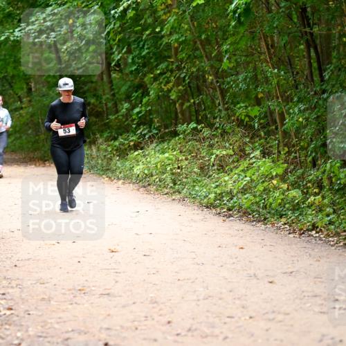 11.10.2026 - Bramfelder Halbmarathon 2026 Dr. Thomas Lammeyer http://msf.ph/oto/10818290 11.10.2026 10:01:52 Laufen 53 meine-sportfotos.de