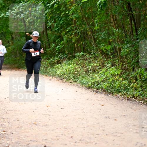 11.10.2026 - Bramfelder Halbmarathon 2026 Dr. Thomas Lammeyer http://msf.ph/oto/10818292 11.10.2026 10:01:52 Laufen 53 meine-sportfotos.de