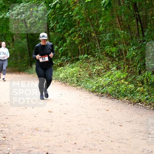 11.10.2026 - Bramfelder Halbmarathon 2026 Dr. Thomas Lammeyer http://msf.ph/oto/10818296 11.10.2026 10:01:53 Laufen 53 meine-sportfotos.de