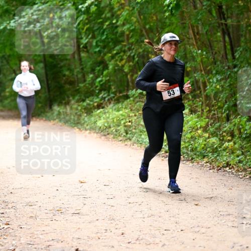 11.10.2026 - Bramfelder Halbmarathon 2026 Dr. Thomas Lammeyer http://msf.ph/oto/10818310 11.10.2026 10:01:55 Laufen 53 meine-sportfotos.de
