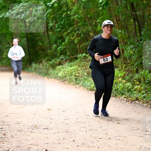 11.10.2026 - Bramfelder Halbmarathon 2026 Dr. Thomas Lammeyer http://msf.ph/oto/10818311 11.10.2026 10:01:55 Laufen 53 meine-sportfotos.de