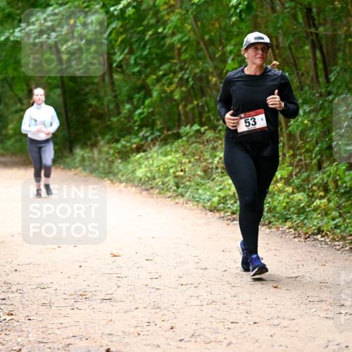 11.10.2026 - Bramfelder Halbmarathon 2026 Dr. Thomas Lammeyer http://msf.ph/oto/10818312 11.10.2026 10:01:55 Laufen 53 meine-sportfotos.de