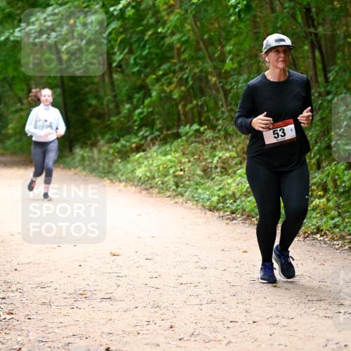 11.10.2026 - Bramfelder Halbmarathon 2026 Dr. Thomas Lammeyer http://msf.ph/oto/10818314 11.10.2026 10:01:55 Laufen 53 meine-sportfotos.de