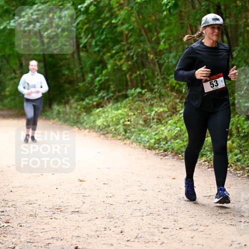 11.10.2026 - Bramfelder Halbmarathon 2026 Dr. Thomas Lammeyer http://msf.ph/oto/10818315 11.10.2026 10:01:55 Laufen 53 meine-sportfotos.de