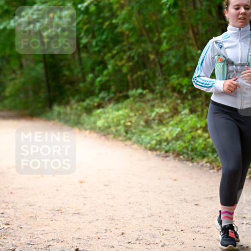 11.10.2026 - Bramfelder Halbmarathon 2026 Dr. Thomas Lammeyer http://msf.ph/oto/10818339 11.10.2026 10:02:01 Laufen  meine-sportfotos.de