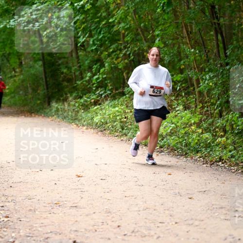 11.10.2026 - Bramfelder Halbmarathon 2026 Dr. Thomas Lammeyer http://msf.ph/oto/10818344 11.10.2026 10:02:23 Laufen 629 meine-sportfotos.de