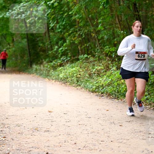11.10.2026 - Bramfelder Halbmarathon 2026 Dr. Thomas Lammeyer http://msf.ph/oto/10818353 11.10.2026 10:02:24 Laufen 629 meine-sportfotos.de
