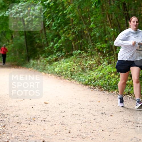 11.10.2026 - Bramfelder Halbmarathon 2026 Dr. Thomas Lammeyer http://msf.ph/oto/10818354 11.10.2026 10:02:24 Laufen 629 meine-sportfotos.de