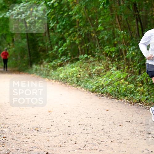 11.10.2026 - Bramfelder Halbmarathon 2026 Dr. Thomas Lammeyer http://msf.ph/oto/10818357 11.10.2026 10:02:25 Laufen 629 meine-sportfotos.de