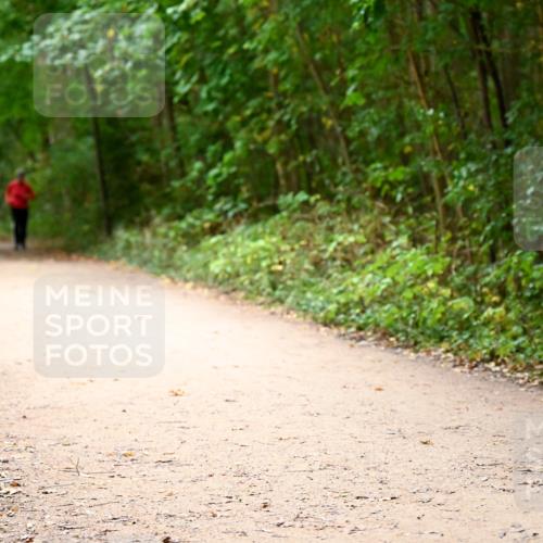 11.10.2026 - Bramfelder Halbmarathon 2026 Dr. Thomas Lammeyer http://msf.ph/oto/10818359 11.10.2026 10:02:25 Laufen 629 meine-sportfotos.de
