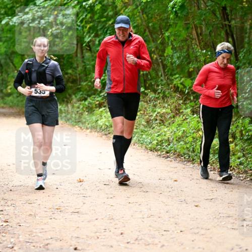 11.10.2026 - Bramfelder Halbmarathon 2026 Dr. Thomas Lammeyer http://msf.ph/oto/10818375 11.10.2026 10:02:39 Laufen 535 meine-sportfotos.de