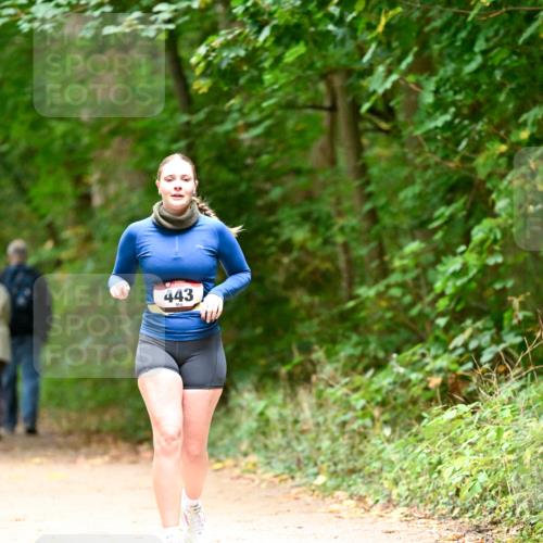 11.10.2026 - Bramfelder Halbmarathon 2026 Dr. Thomas Lammeyer http://msf.ph/oto/10818449 11.10.2026 10:04:09 Laufen 443 meine-sportfotos.de