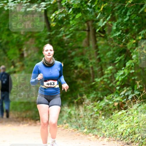 11.10.2026 - Bramfelder Halbmarathon 2026 Dr. Thomas Lammeyer http://msf.ph/oto/10818450 11.10.2026 10:04:09 Laufen 443 meine-sportfotos.de
