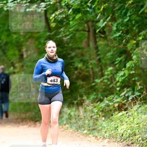 11.10.2026 - Bramfelder Halbmarathon 2026 Dr. Thomas Lammeyer http://msf.ph/oto/10818451 11.10.2026 10:04:09 Laufen 443 meine-sportfotos.de