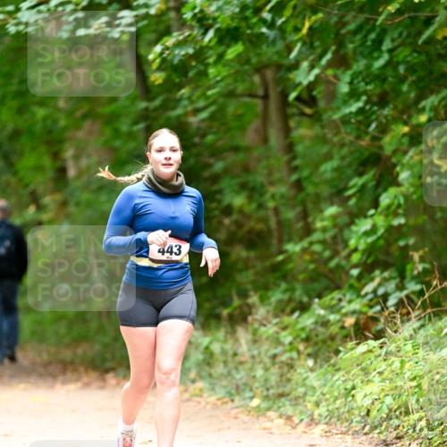 11.10.2026 - Bramfelder Halbmarathon 2026 Dr. Thomas Lammeyer http://msf.ph/oto/10818452 11.10.2026 10:04:10 Laufen 443 meine-sportfotos.de