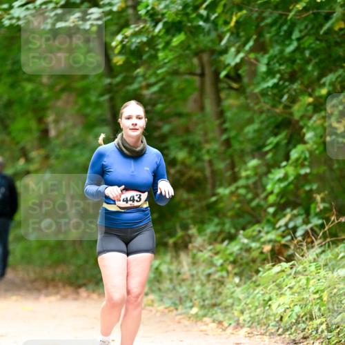 11.10.2026 - Bramfelder Halbmarathon 2026 Dr. Thomas Lammeyer http://msf.ph/oto/10818453 11.10.2026 10:04:10 Laufen 443 meine-sportfotos.de